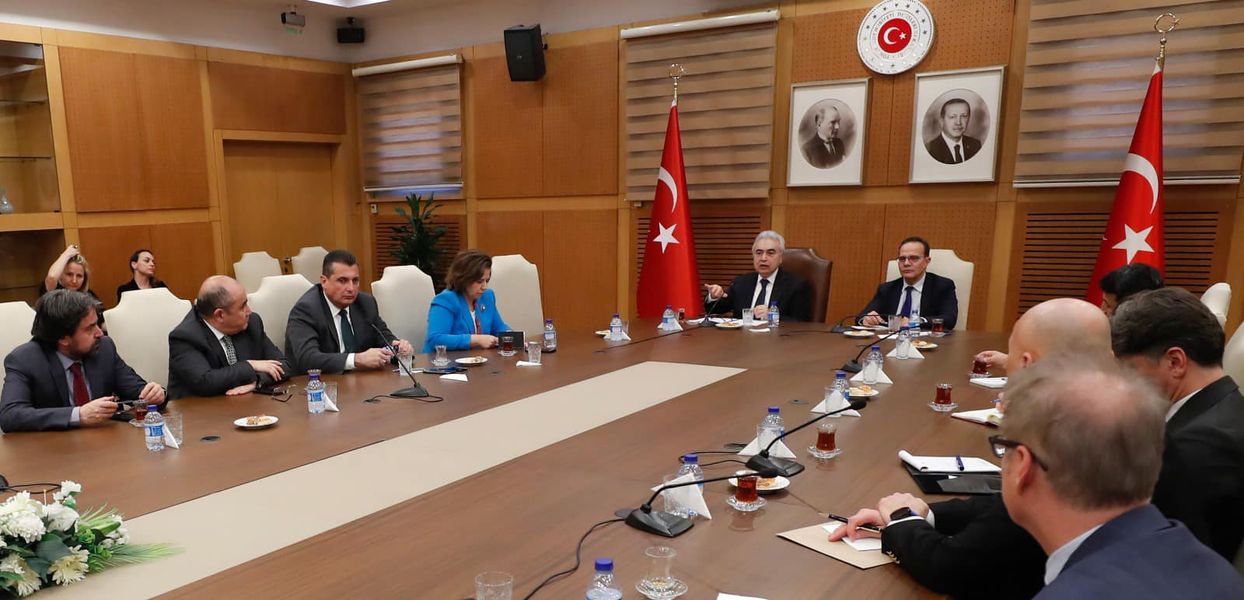 Türkiye Dışişleri Bakanlığı, IEA İcra Direktörü ile Enerji Diplomasisini Ele Aldı
