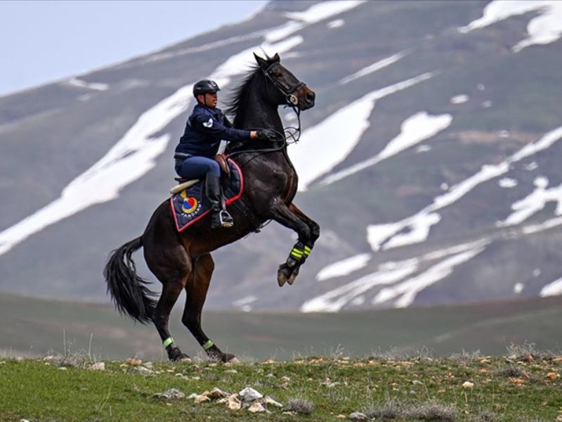Van'da Atlı Jandarma Timlerinin Görev ve Başarıları