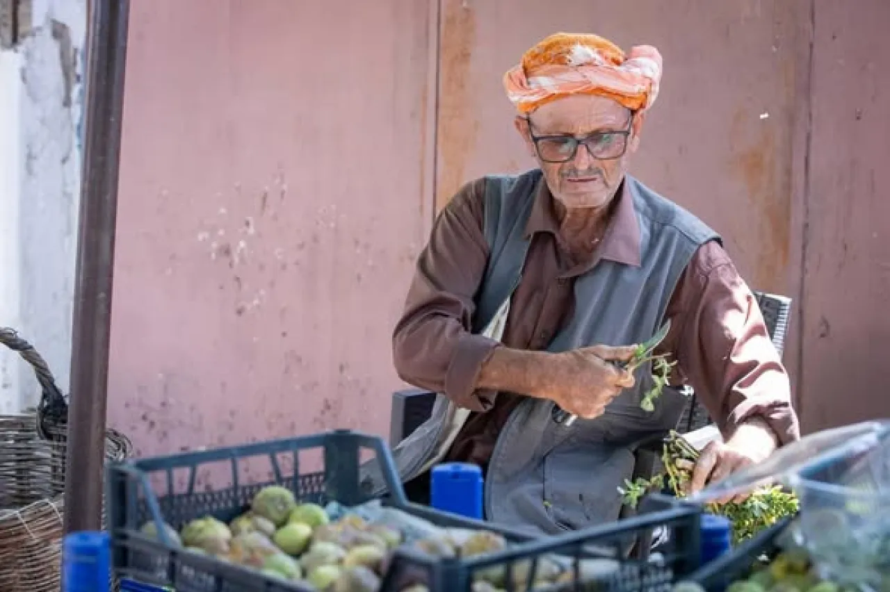 İzmir Büyükşehir Belediyesi Beydağlı İncir Üreticilerine 1000'den Fazla Kurutma Kasası Dağıttı