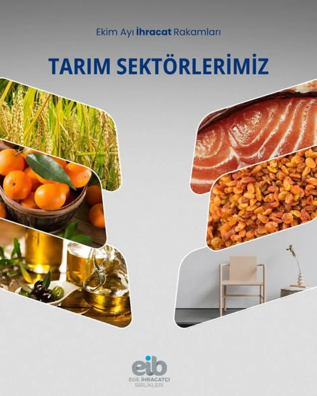 Ege İhracatçı Birlikleri'nden Tarım Sektöründe 696 Milyon Dolarlık İhracat Başarısı