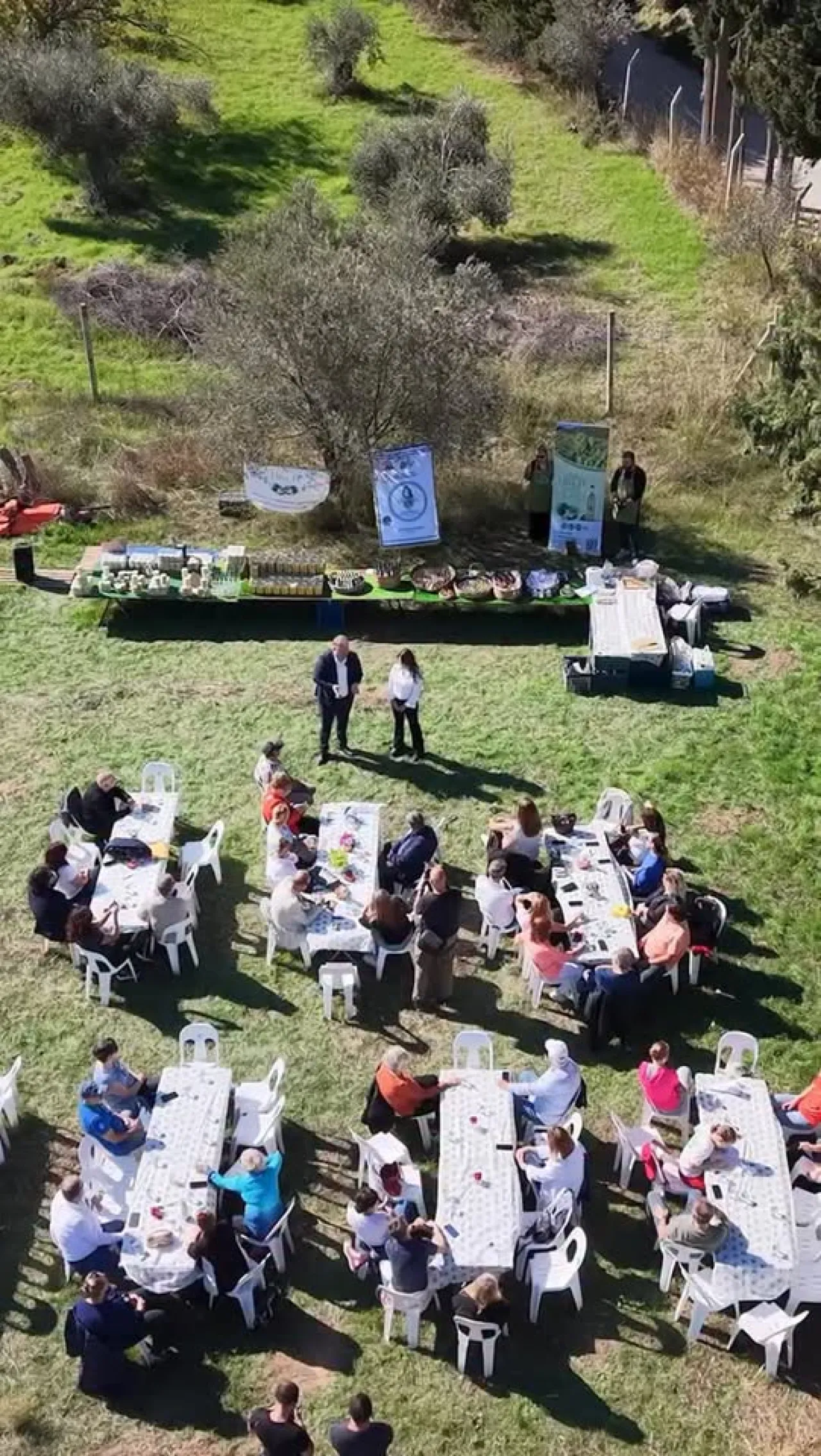 Urla'da Zeytin Hasadı Etkinliği ile Üreticiler Buluştu